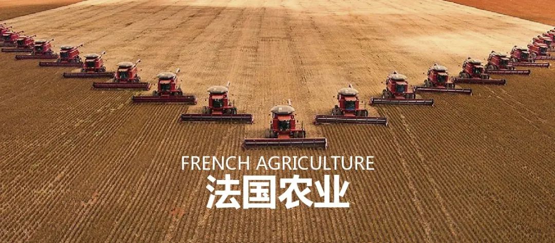 法国农业：欧盟农业大国，靠这6大战略制胜市场